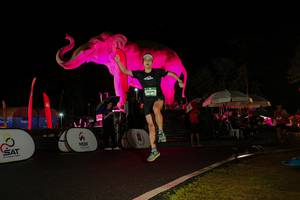 BIB: 
                            <button type="button" onclick="openModal(26544186)" class="btn btn-primary btn-sm float-right btn-popup" data-toggle="modal" data-target=".modal-high-quality">
                        <i class="fas fa-shopping-cart"></i> Add to Cart
                    </button>
                                            <button type="button" onclick="isThisMe(26544186, true)" class="btn btn-success btn-sm float-right btn-popup btn-isme hidden" data-toggle="tooltip" data-placement="bottom" title="นี่คือรูปของคุณใช่ไหม คลิกที่นี่เพื่อเอาเข้าอัลบั้ม">
                        <i class="fas fa-plus"></i> Add to album
                    </button>
                    <button type="button" onclick="isThisMe(26544186, false)" class="btn btn-warning btn-sm float-right btn-popup btn-isnotme hidden">
                        <i class="fas fa-ban"></i> Remove from album
                    </button>